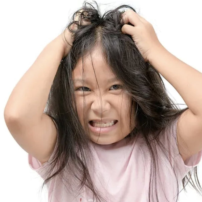 Electric Head Lice & Dandruff Remover