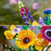 LEGO ICONS 10313 Wildflower Bouquet