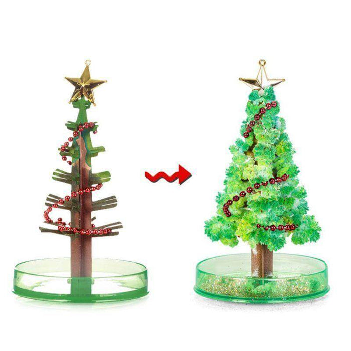 Magic Growing Christmas Tree